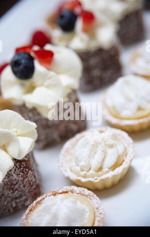 Torte e crostate mini allineate su una superficie bianca. Foto Stock