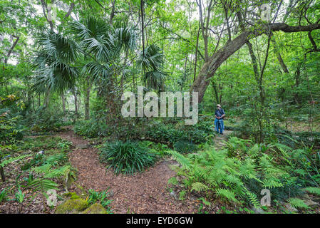 Molla annuale Festival Giardino a Kanapaha Botanical Gardens a Gainesville, Florida. Foto Stock