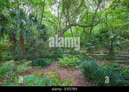 Molla annuale Festival Giardino a Kanapaha Botanical Gardens a Gainesville, Florida. Foto Stock