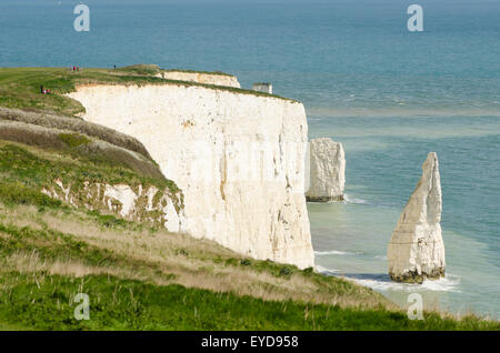 Bianco gesso scogliere vicino alla vecchia Harry Rock, Studland, Dorset, Regno Unito. Aprile. Vista verso nord-est. Foto Stock