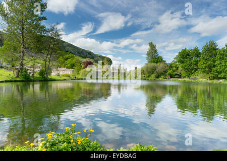 Kilnsey allevamento di trote e country park in Wharfedale, Yorkshire Dales, Giugno 2015 Foto Stock