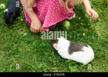 Bambino ragazza rilassante e giocare con il suo cavie esterno su erba verde prato e giardino, campagna, estate, animali domestici, animali Foto Stock