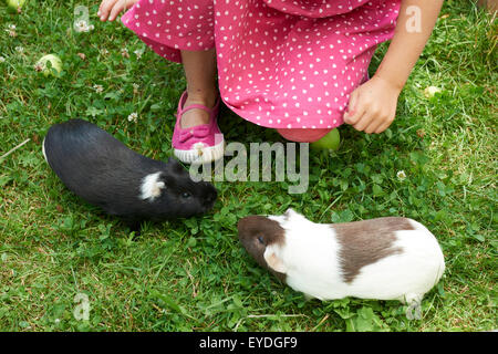 Bambino ragazza rilassante e giocare con il suo cavie esterno su erba verde prato e giardino, campagna, estate, animali domestici, animali Foto Stock