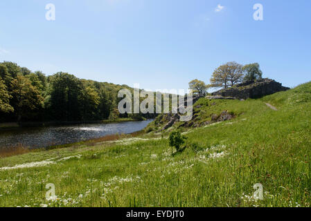Rovina del castello Lilleborg (12.c.), isola di Bornholm Danimarca Foto Stock