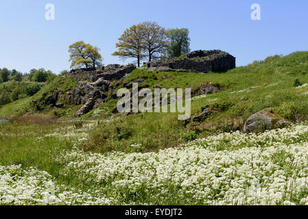 Rovina del castello Lilleborg (12.c.), isola di Bornholm Danimarca Foto Stock