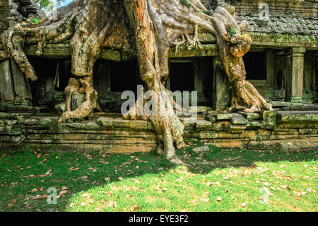 Antichi khmer buddista di Tempio di Angkor Wat complessa, Siem Reap Cambogia Asia Foto Stock