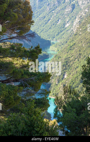 La sezione inferiore delle gole del Verdon visto da un punto di vista vantaggioso della strada che porta al villaggio di La Palud-sur-Verdon. Foto Stock