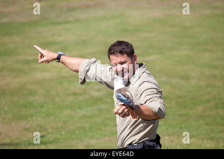 Hertfordshire, Inghilterra, circa del luglio 2015, Steve Backshall, naturalista e wildlife presenter ad una fauna live show con una Kooka Foto Stock