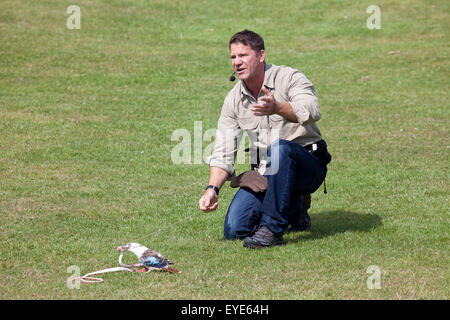 Hertfordshire, Inghilterra, circa del luglio 2015, Steve Backshall, naturalista e wildlife presenter ad una fauna live show con una Kooka Foto Stock