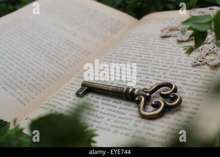 Vecchia chiave su un libro Foto Stock