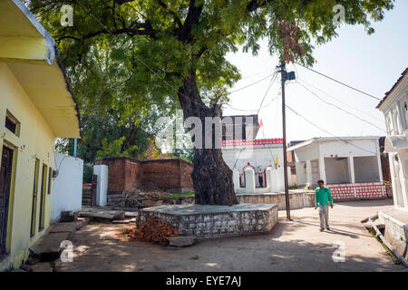 Spazio aperto nel vecchio villaggio di Khajuraho, Madhya Pradesh, India Foto Stock