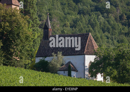 Cappella locale sulla collina che domina la viticoltura vigneti a sud-ovest di Bolzano, Alto Adige, Italia settentrionale. Foto Stock