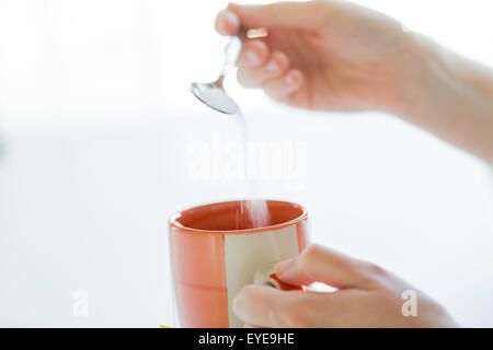 Close up donna mani aggiungendo lo zucchero a tazza da tè Foto Stock