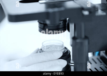 Stretta di mano con microscopio e campione di polvere Foto Stock