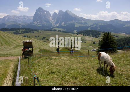 Gli escursionisti su Siusi Altopiano, al di sopra del Sud città tirolese di Ortisei-Sankt Ulrich nelle Dolomiti, Italia. Foto Stock