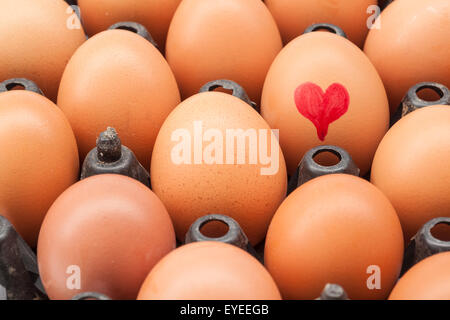 In questo cestello porta uovo non ci è stanza per trenta uova e uno con un cuore Foto Stock