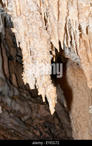 Stalattiti e stalagmiti nella grotta di pietra calcarea. Foto Stock