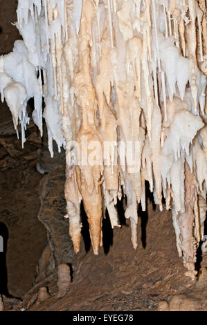 Stalattiti e stalagmiti nella grotta di pietra calcarea. Foto Stock