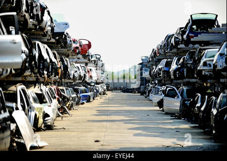 Distrutto i veicoli sono visti in un auto junkyard Foto Stock