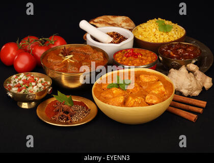 Selezione di cibi indiano Foto Stock