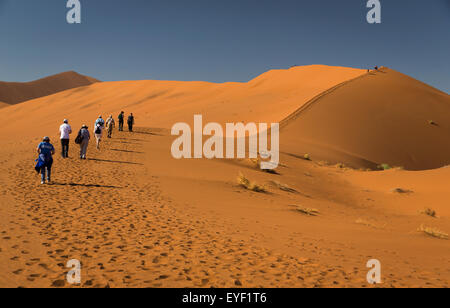 Gli escursionisti ascendente daddy grande duna di sabbia in Namib-Naukluft National Park vicino al Sossusvlei Namibia Foto Stock