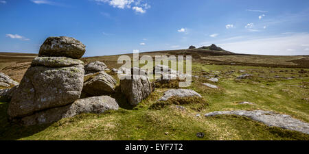 Vista da Holwell Tor per fieno Tor, Dartmoor Foto Stock