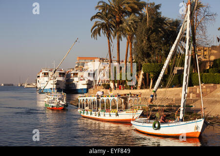 Feluche sul Nilo, al di fuori del Hotel Sheraton; Luxor, Egitto Foto Stock