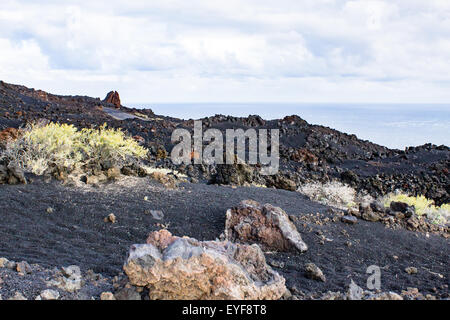 Vegetazione che cresce sui crateri del Vulcano di Teneguia, La Palma, Spagna. Foto Stock