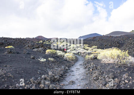 Vegetazione che cresce sui crateri del Vulcano di Teneguia, La Palma, Spagna. Foto Stock