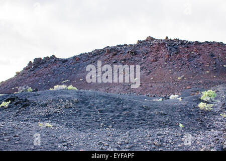 Vegetazione che cresce sui crateri del Vulcano di Teneguia, La Palma, Spagna. Foto Stock