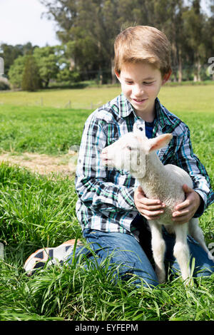 Ragazzo (10-11) di mantenimento di agnello Foto Stock