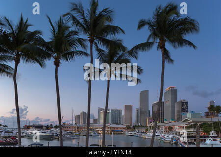 Alte palme Bayside Marketplace MARINA skyline del centro di Miami, Florida, Stati Uniti d'America Foto Stock