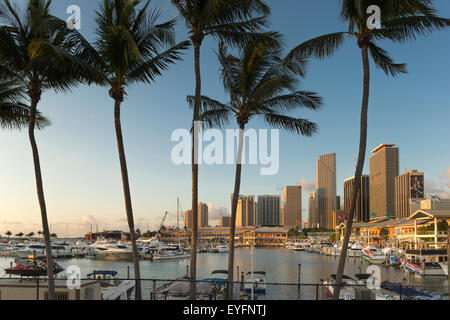 Alte palme Bayside Marketplace MARINA skyline del centro di Miami, Florida, Stati Uniti d'America Foto Stock