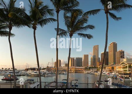 Alte palme Bayside Marketplace MARINA skyline del centro di Miami, Florida, Stati Uniti d'America Foto Stock