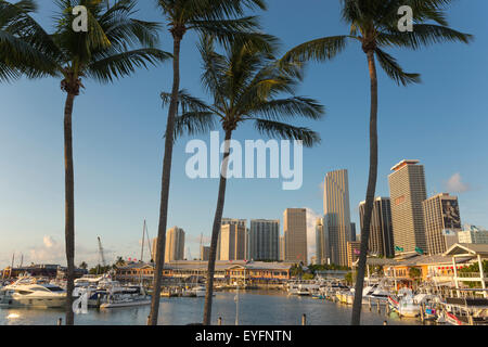 Alte palme Bayside Marketplace MARINA skyline del centro di Miami, Florida, Stati Uniti d'America Foto Stock