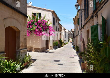 Tipica strada vista da molte piccole città spagnole. Qui, Alcudia a Mallorca. Foto Stock