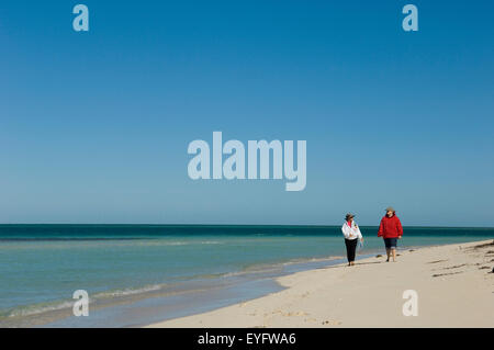Stati Uniti d'America, Florida, Florida Keys, giovane esplorare la spiaggia di sabbia bianca di mangrovia disabitata isola al largo; Key West Foto Stock