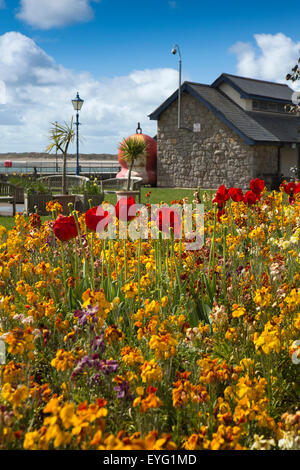 Regno Unito Galles, Gwynedd, Aberdovey, floreali piantare lungo la parete harbourside Foto Stock