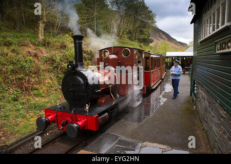 Regno Unito Galles, Gwynedd, Abergynolwyn, Tal-y-Llyn ferrovia stazione Tywyn, 1866 0-4-0 loco Dolgoch in corrispondenza della piattaforma Foto Stock