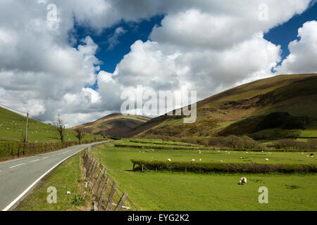 Regno Unito Galles, Gwynedd, Dolgoch, Afon Fathew Valley, B4405 road a tal y Llyn Foto Stock