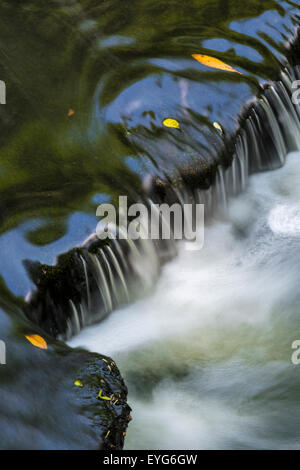 Le acque del Ouseburn in esecuzione su una cascata, Jesmond Dene, Newcastle upon Tyne, Inghilterra Foto Stock