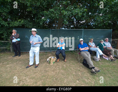 English cricket-amanti guardare il loro gioco in una giornata di sole in West Sussex Foto Stock