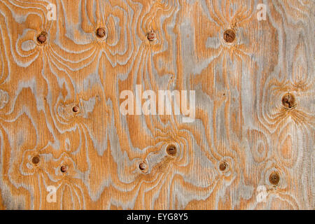 Pannello in legno con texture create da nodi e di forma ondulata vene Foto Stock