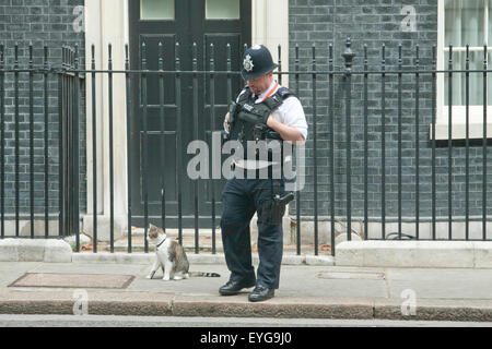 Westminster London,UK. Il 29 luglio 2015. Larry il gatto fa un aspetto a Downing street il giorno Home Secretary Theresa Maggio presiede una riunione del cobra sulla crescente crisi migranti in Calais Francia Credito: amer ghazzal/Alamy Live News Foto Stock