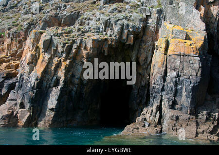Gita in barca a Ramsey isola, St David's in Pembrokeshire West Wales UK Foto Stock