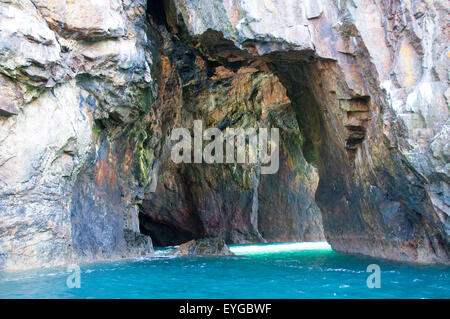 Gita in barca a Ramsey isola, St David's in Pembrokeshire West Wales UK Foto Stock