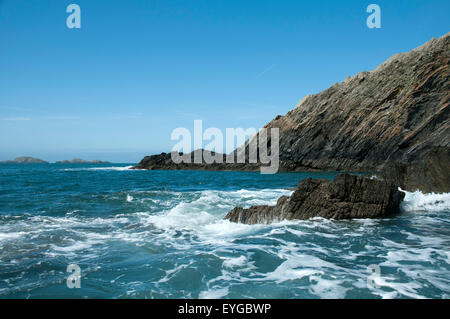 Gita in barca a Ramsey isola, St David's in Pembrokeshire West Wales UK Foto Stock