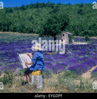 Donna di mezza età disegno casa di pietra in fioritura campo di lavanda, Vaucluse Provence, Francia Foto Stock