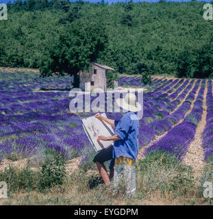 Donna di mezza età disegno casa di pietra in fioritura campo di lavanda, Vaucluse Provence, Francia Foto Stock