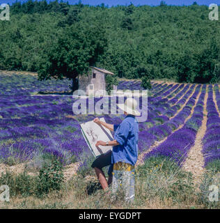 Donna di mezza età disegno casa di pietra in fioritura campo di lavanda, Vaucluse Provence, Francia Foto Stock